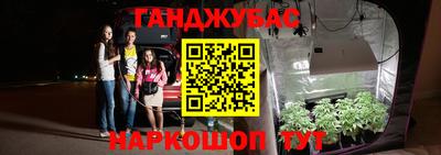 apvp Краснознаменск